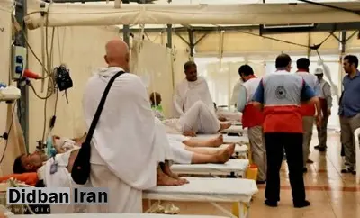 هلال احمر: تاکنون ۱۸ زائر در حج تمتع امسال فوت کردهاند/ بیماریهای تنفسی همچنان شایعترین عارضه در میان زائران به شمار میروند