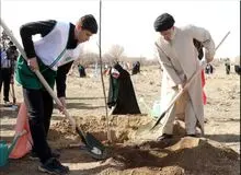 این طرح جنجالی دولت رئیسی ۲۸ درصد بودجه سازمان منابع طبیعی را می‌خورد