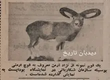 موفقیت چشمگیر ایران در نمایشگاه بین المللی شکار بوداپست