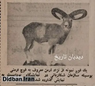 موفقیت چشمگیر ایران در نمایشگاه بین المللی شکار بوداپست