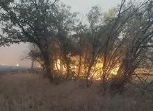 منابع طبیعی: آتش سوزی گسترده در جنگل‌های دلفان/ ۴۰ مظنون شناسایی شدند