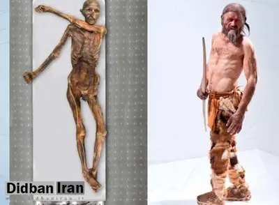راز مرگ مرد یخی ۵ هزار ساله اروپایی فاش شد/ عکس