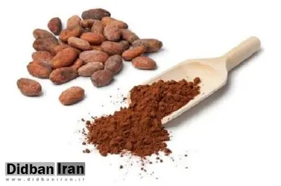 آیا کاکائو برای فعالیت مغز خوب است؟