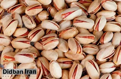 تأثیر مصرف پسته در شب بر میکروبیوم روده در مبتلایان پیش‌دیابت