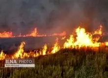دستور بررسی عمدی بودن یا نبودن آتش‌سوزی جنگل‌های ارسباران صادر شده است