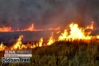 دستور بررسی عمدی بودن یا نبودن آتش‌سوزی جنگل‌های ارسباران صادر شده است