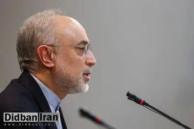 اینها که انتقاد میکنند بگویند چه کار باید میکردیم که نکردیم؟ / ایرادات منتقدان به برجام عوامانه است