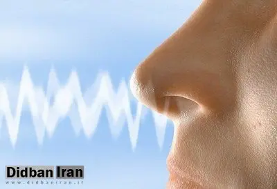 چرا مبتلایان به کووید ۱۹ بویایی خود را از دست می‌دهند؟