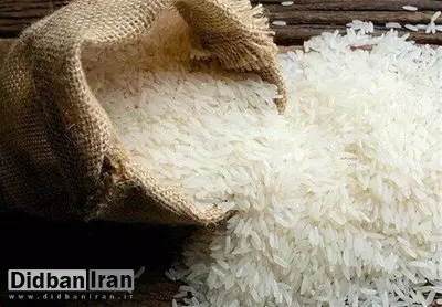 چرا برنج ارزان نشد؟