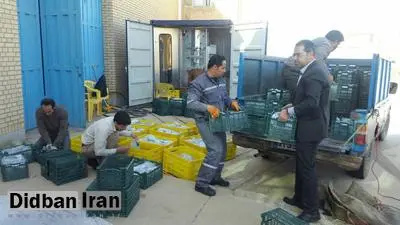 ارسال بیش از 2 هزار بسته آب تصفیه شده از همدان به مناطق زلزله زده
