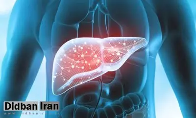 گیاهی که از کبد محافظت می‌کند
