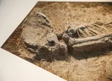 محل کشف بانوی ۷هزارساله تهران پارکینگ موتور شد!+ عکس