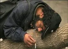 نیمی از معتادان متجاهر 5 سال بعد از اولین مصرف «کارتن خواب» شده‌اند+آمار 