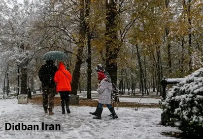 سرمای آذرماه گیلان در ۱۰ سال اخیر کم‌سابقه است