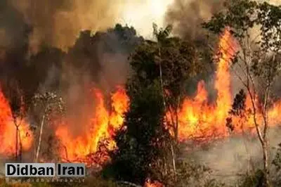 آتشسوزی ۱۴ساعته در مناطق صعبالعبور استان کرمان