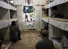 گزارشی از بندهای مالی زندان اوین با اتاق‌های لاکچری
