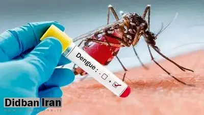 هشدار به شهروندان و گردشگران/ پشه آئدس در مازندران ردگیری شد