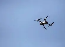 کشف یک ریزپرنده‌ در آستانه اشرفیه