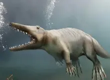 کشف فسیل یک اژد‌های دریایی عظیم الجثه در انگلستان+تصاویر