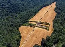 پاکتراشی بخشی از جنگل‌های هیرکانی در تنکابن توسط خانواده‌ای که کارش تعرض به عرصه منابع طبیعی بود