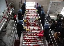 قیمت گذاری رب گوجه فرنگی در هاله ای از ابهام/ ۷۰هزار تومان نرخ پیشنهادی کارخانجات