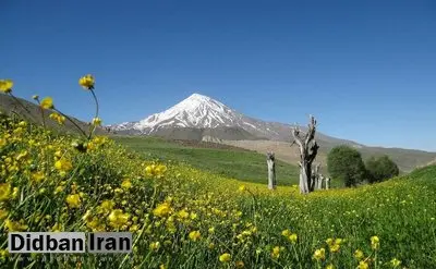 سند سه پلاک دماوند به نام سازمان جنگلها بازگشت / دو پلاک دیگر در انتظار اقدامات ثبتی سازمان ثبت اسناد