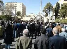 جزئیات تجمع شیراز
