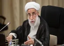 سفیر انگلیس را باید به‌عنوان عنصر نامطلوب از کشور بیرون کرد/ به این راحتی کسی نمی‌تواند بفهمد که ماجرای هواپیمای اوکراینی چه بوده است/ سپاه را باید روی سرمان بگذاریم