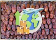 آموزش صادرات خرما و مراحل آن