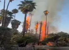 جزییات آتش‌سوزی در باغ گردشگری چشمه بلقیس چرام