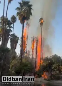 جزییات آتشسوزی در باغ گردشگری چشمه بلقیس چرام