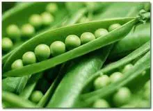 با لوبیا و نخودفرنگی لاغر شوید!