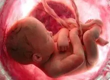 نماینده مجلس: به دنبال طرحی برای سقط جنین غیرقانونی هستیم/  میزان تولد بچه‌های غیرمشروع در ایران با سایر کشورها متفاوت است
