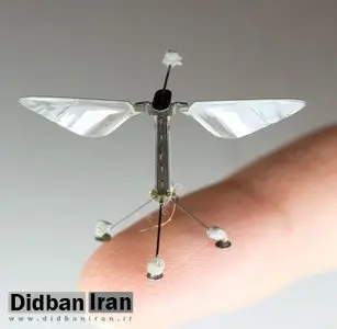 ربات پرنده جاسوس به اندازه یک زنبور/ عکس