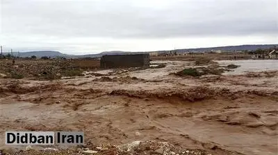 سیل در روستای نُهوج اردستان اصفهان۲ کشته، ۵ مصدوم و یک ‌مفقودی بر جای گذاشت 