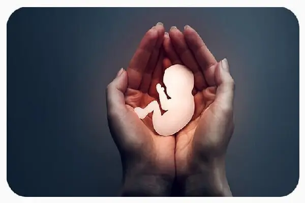 توضیحات وزارت بهداشت درباره راه‌اندازی صفحه‌ای برای دریافت گزارش‌های مردمی سقط جنین