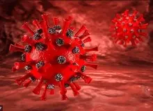 کرونای جهش یافته به قشم و گیلان رسید