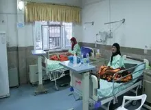 قارچ های مسموم؛ رسانه مغموم!!