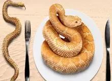 توصیه جدید دانشمندان: پرورش مار به‌عنوان غذا به‌جای روش‌های مرسوم دامداری