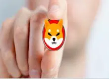 ارز شیبا چیست و چرا این روزها معروف شده است ؟