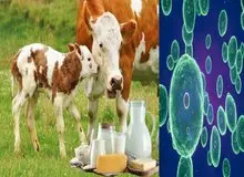 وزارت بهداشت درباره افزایش یک بیماری هشدار داد