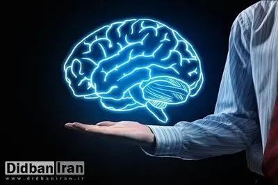 یک داروی موثر در درمان سرطان مغز