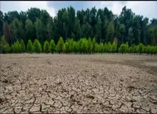 محیط‌زیست: شمال کشور تا ۱۰ سال آینده، مشکلات فلات مرکزی را خواهد داشت/ ایران کمتر از هفت درصد پوشش جنگلی دارد که همان هم در حال تخریب است