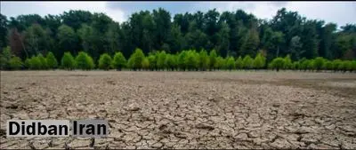 محیط‌زیست: شمال کشور تا ۱۰ سال آینده، مشکلات فلات مرکزی را خواهد داشت/ ایران کمتر از هفت درصد پوشش جنگلی دارد که همان هم در حال تخریب است