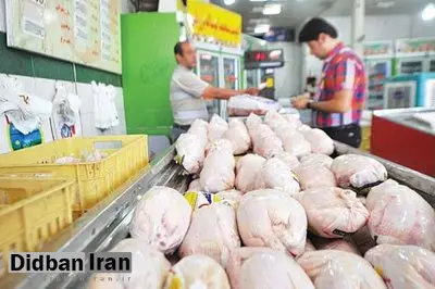 پرواز مجدد قیمت مرغ