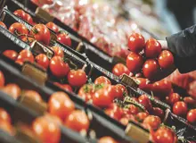  چرا رب گوجه ‌فرنگی هم شورش کرد؟