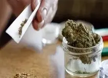 گل های داخل ایران ۱۰ برابر سایر کشورها توهم زاست