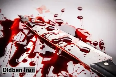 اختلاف دوستانه دخترها مرگبار شد؛ جزئیات قتل یک پدر به دست ۶ دختر نوجوان/ حضور آمبولانس بعد از ۵۰ دقیقه
