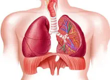 گام های موثر برای داشتن ریه های سالم!