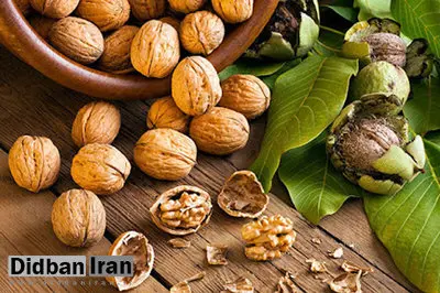 آیا خوردن گردوهای سیاه خطرناک است؟